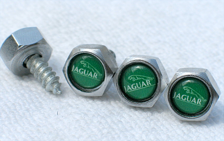 Automotive Chrome Custom License Plate Bolts at